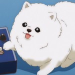 Tama is Mufaya's dog.