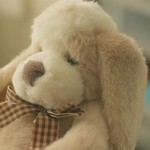 The rabbit doll belongs to Toru.