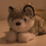 Soo An owns a doll.