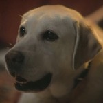 Kimchi is Yihyun's dog.