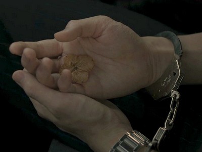 Kan's hands are in handcuffs as he holds a wilted flower.