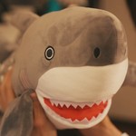 The shark toy belongs to Mashiro.