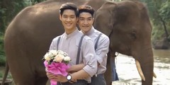 Grey Rainbow is a Thai BL drama released in 2016.