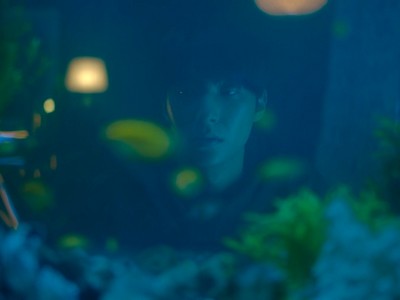 Jae Won stares at the fish in the aquarium.