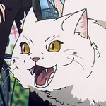 Mince is a neighbourhood cat.